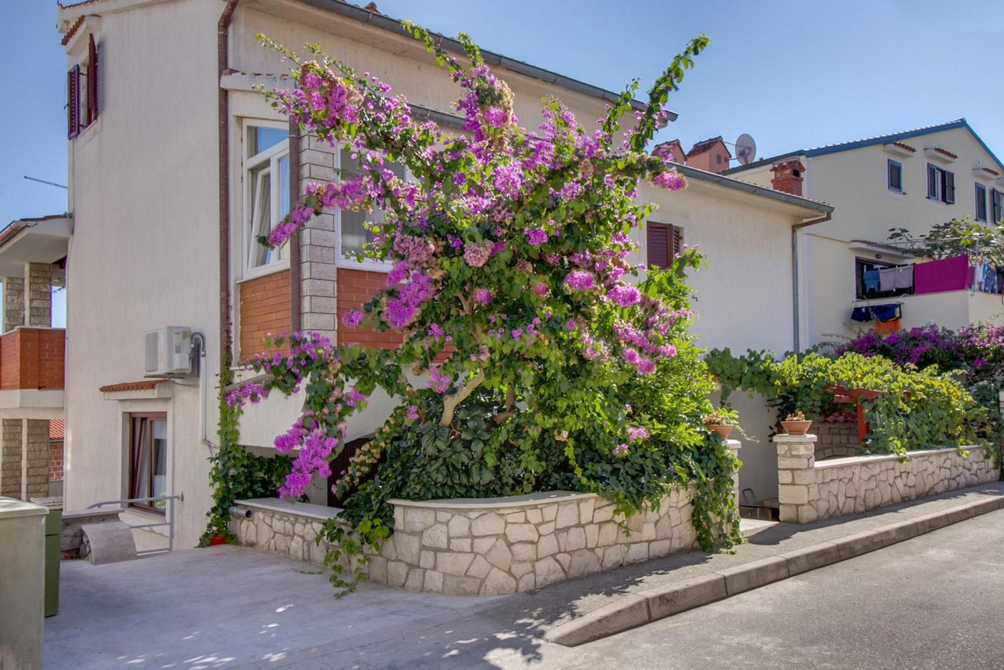 Apartments Suzana Mali Lošinj Exterior foto